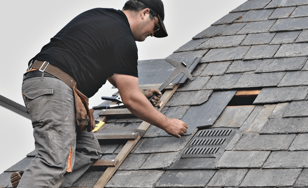 Shingle Roof Maintenance 101: The Ultimate Guide to Preserve Your Roof’s Health